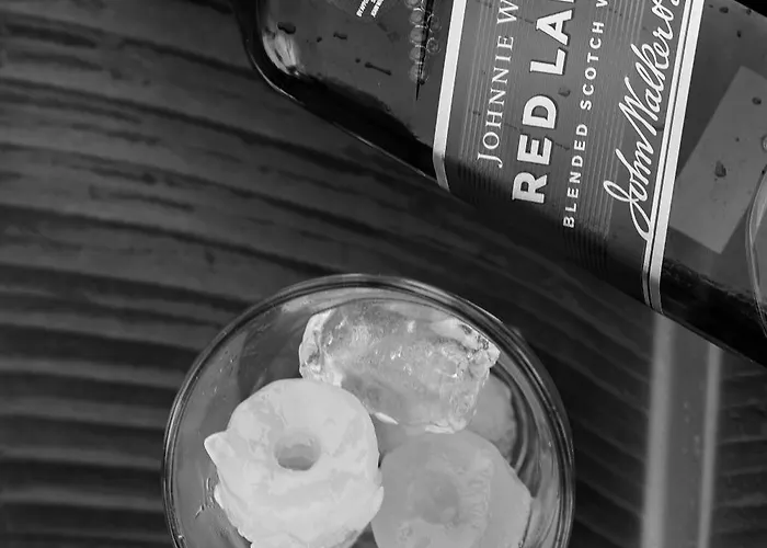 Swell Hotel, Pool Bar & Restaurant ホステル